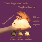 Rabbit light